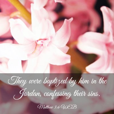 Picture 03 - Matthew 3:6 WEB - They were baptized by him in the Jordan, - Bible Verse Picture