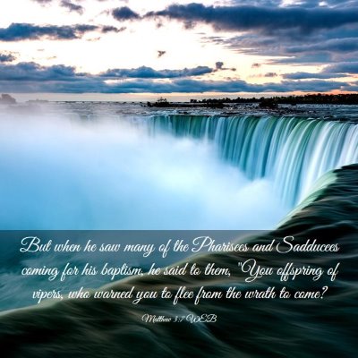 Picture 03 - Matthew 3:7 WEB - But when he saw many of the Pharisees and - Bible Verse Picture