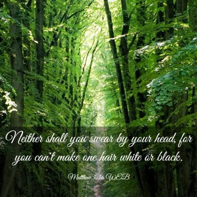 Picture 03 - Matthew 5:36 WEB - Neither shall you swear by your head, for you - Bible Verse Picture