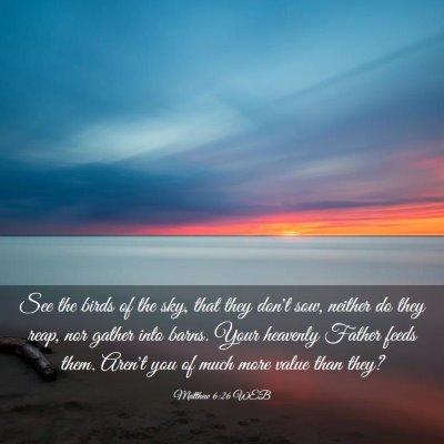 Picture 03 - Matthew 6:26 WEB - See the birds of the sky, that they don't sow, - Bible Verse Picture