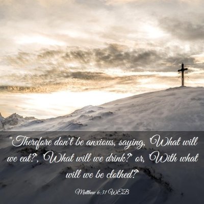 Picture 03 - Matthew 6:31 WEB - 