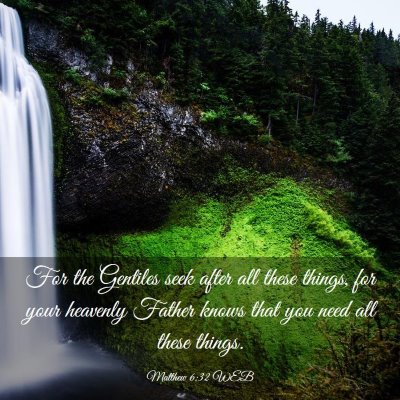 Picture 03 - Matthew 6:32 WEB - For the Gentiles seek after all these things, for - Bible Verse Picture
