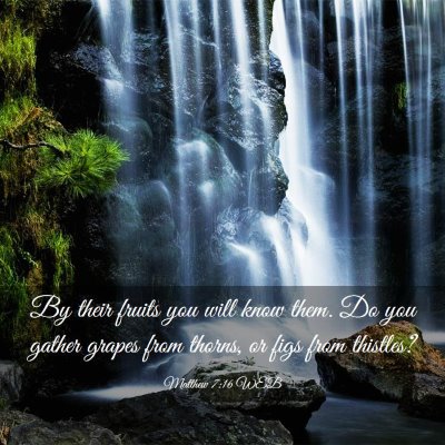 Picture 03 - Matthew 7:16 WEB - By their fruits you will know them. Do you gather - Bible Verse Picture