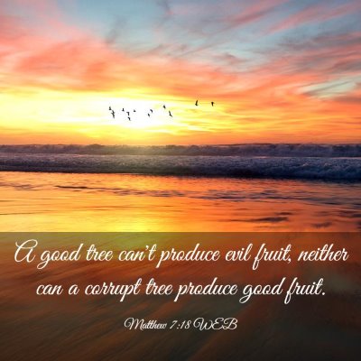 Picture 03 - Matthew 7:18 WEB - A good tree can't produce evil fruit, neither can - Bible Verse Picture