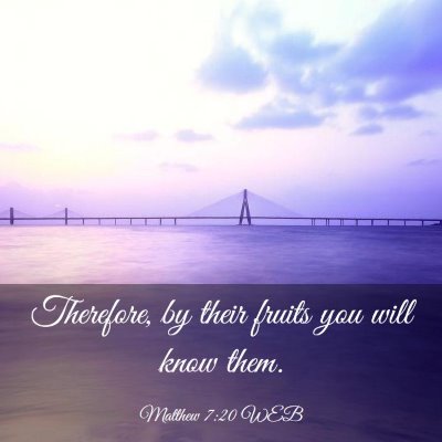 Picture 03 - Matthew 7:20 WEB - Therefore, by their fruits you will know - Bible Verse Picture