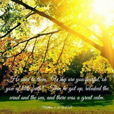 Picture 03 - Matthew 8:26 WEB - He said to them, 