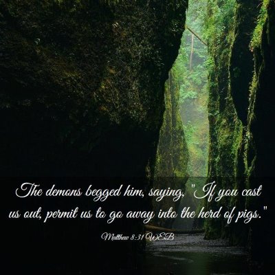 Picture 03 - Matthew 8:31 WEB - The demons begged him, saying, 