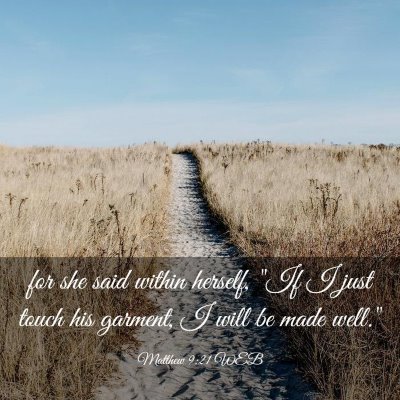 Picture 03 - Matthew 9:21 WEB - for she said within herself, 