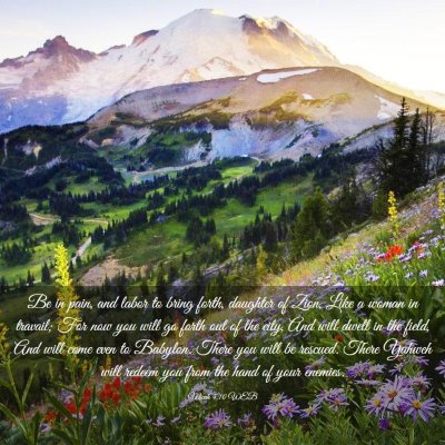 Picture 03 - Micah 4:10 WEB - Be in pain, and labor to bring forth, daughter of - Bible Verse Picture