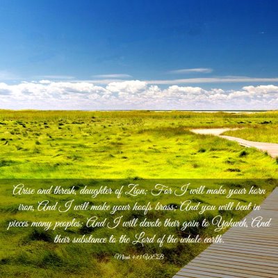 Picture 03 - Micah 4:13 WEB - Arise and thresh, daughter of Zion; For I will - Bible Verse Picture