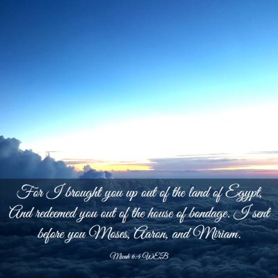 Picture 03 - Micah 6:4 WEB - For I brought you up out of the land of Egypt, - Bible Verse Picture