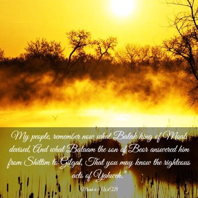 Picture 03 - Micah 6:5 WEB - My people, remember now what Balak king of Moab - Bible Verse Picture