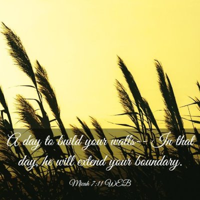 Picture 03 - Micah 7:11 WEB - A day to build your walls-- In that day, he will - Bible Verse Picture