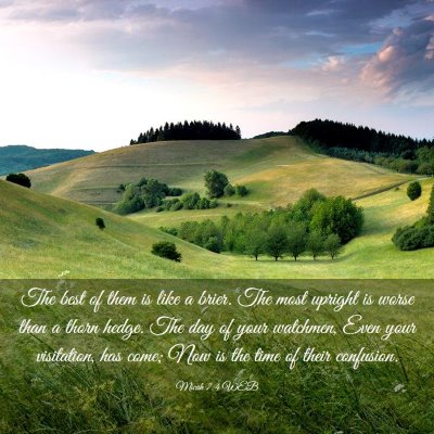 Picture 03 - Micah 7:4 WEB - The best of them is like a brier. The most - Bible Verse Picture