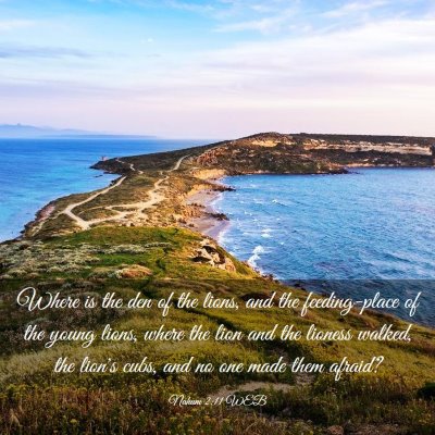 Picture 03 - Nahum 2:11 WEB - Where is the den of the lions, and the - Bible Verse Picture