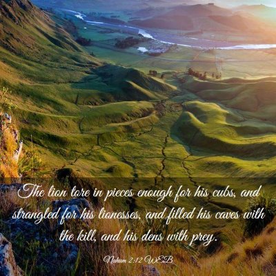 Picture 03 - Nahum 2:12 WEB - The lion tore in pieces enough for his cubs, and - Bible Verse Picture