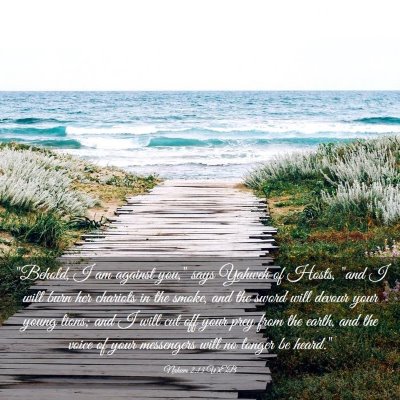 Picture 03 - Nahum 2:13 WEB - 