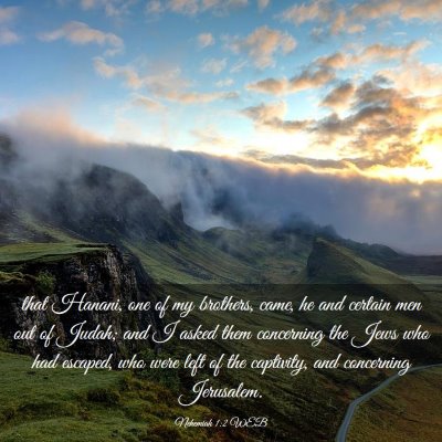 Picture 03 - Nehemiah 1:2 WEB - that Hanani, one of my brothers, came, he and - Bible Verse Picture