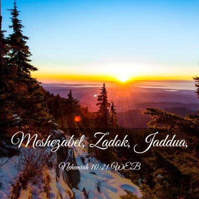 Picture 03 - Nehemiah 10:21 WEB - Meshezabel, Zadok, - Bible Verse Picture