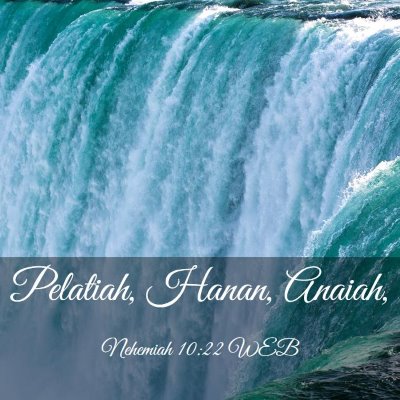 Picture 03 - Nehemiah 10:22 WEB - Pelatiah, Hanan, - Bible Verse Picture