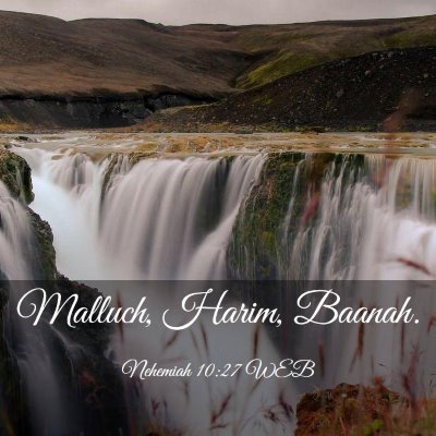 Picture 03 - Nehemiah 10:27 WEB - Malluch, Harim, - Bible Verse Picture