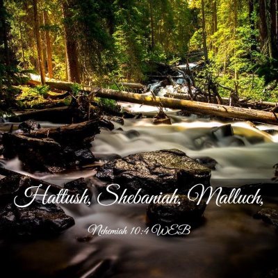 Picture 03 - Nehemiah 10:4 WEB - Hattush, Shebaniah, - Bible Verse Picture