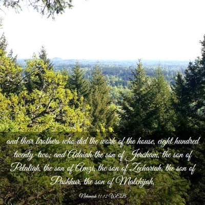 Picture 03 - Nehemiah 11:12 WEB - and their brothers who did the work of the house, - Bible Verse Picture