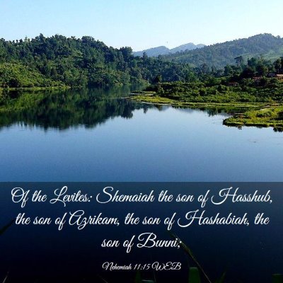 Picture 03 - Nehemiah 11:15 WEB - Of the Levites: Shemaiah the son of Hasshub, the - Bible Verse Picture