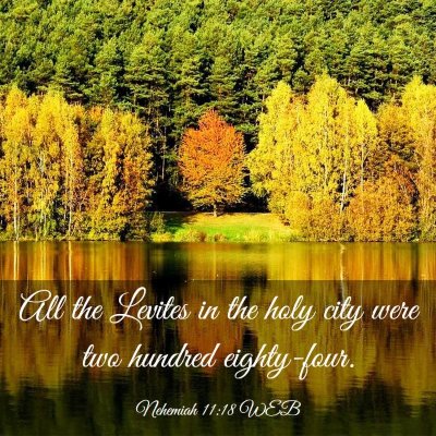 Picture 03 - Nehemiah 11:18 WEB - All the Levites in the holy city were two hundred - Bible Verse Picture