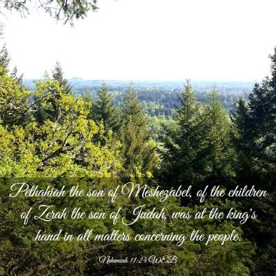 Picture 03 - Nehemiah 11:24 WEB - Pethahiah the son of Meshezabel, of the children - Bible Verse Picture