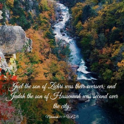 Picture 03 - Nehemiah 11:9 WEB - Joel the son of Zichri was their overseer; and - Bible Verse Picture