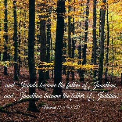 Picture 03 - Nehemiah 12:11 WEB - and Joiada became the father of Jonathan, and - Bible Verse Picture