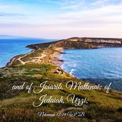 Picture 03 - Nehemiah 12:19 WEB - and of Joiarib, Mattenai; of Jedaiah, - Bible Verse Picture
