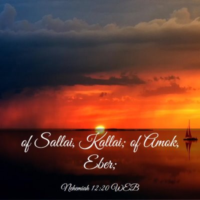 Picture 03 - Nehemiah 12:20 WEB - of Sallai, Kallai; of Amok, - Bible Verse Picture
