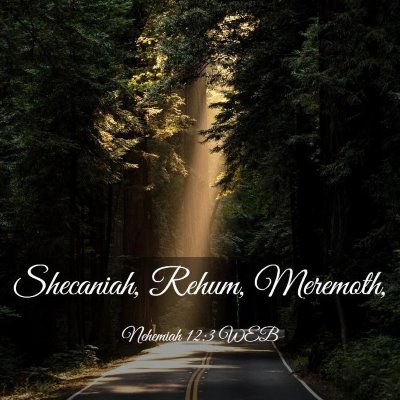 Picture 03 - Nehemiah 12:3 WEB - Shecaniah, Rehum, - Bible Verse Picture