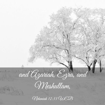 Picture 03 - Nehemiah 12:33 WEB - and Azariah, Ezra, and - Bible Verse Picture