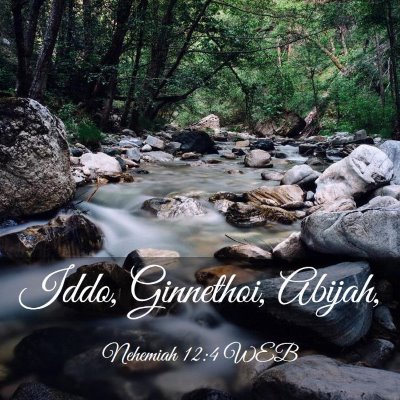 Picture 03 - Nehemiah 12:4 WEB - Iddo, Ginnethoi, - Bible Verse Picture