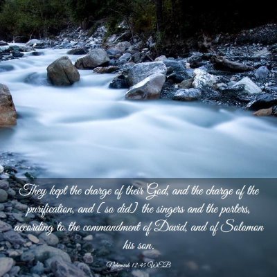 Picture 03 - Nehemiah 12:45 WEB - They kept the charge of their God, and the charge - Bible Verse Picture