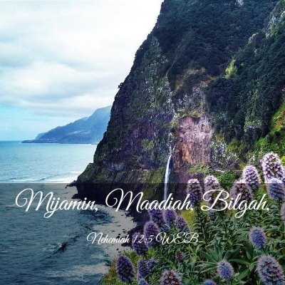 Picture 03 - Nehemiah 12:5 WEB - Mijamin, Maadiah, - Bible Verse Picture