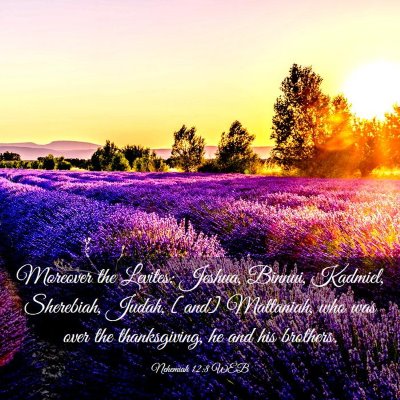 Picture 03 - Nehemiah 12:8 WEB - Moreover the Levites: Jeshua, Binnui, Kadmiel, - Bible Verse Picture