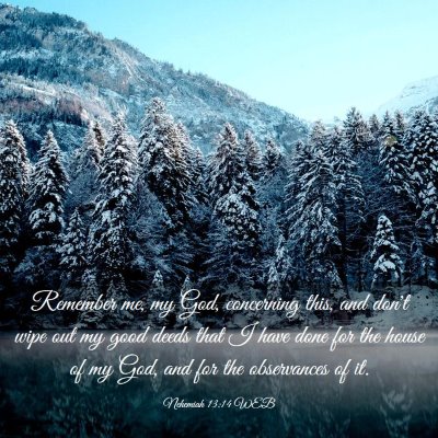 Picture 03 - Nehemiah 13:14 WEB - Remember me, my God, concerning this, and don't - Bible Verse Picture