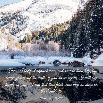 Picture 03 - Nehemiah 13:21 WEB - Then I testified against them, and said to them, - Bible Verse Picture