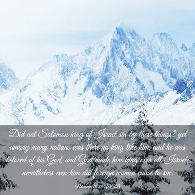 Picture 03 - Nehemiah 13:26 WEB - Did not Solomon king of Israel sin by these - Bible Verse Picture
