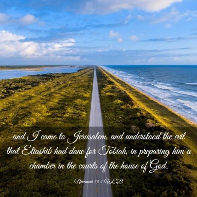 Picture 03 - Nehemiah 13:7 WEB - and I came to Jerusalem, and understood the evil - Bible Verse Picture