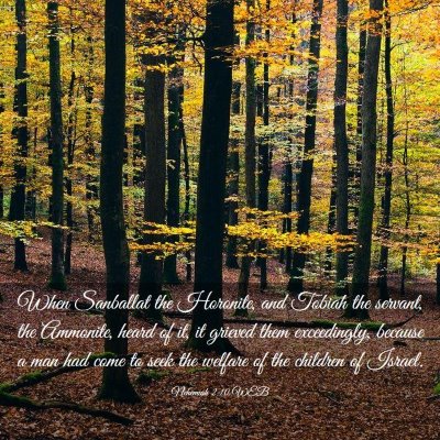 Picture 03 - Nehemiah 2:10 WEB - When Sanballat the Horonite, and Tobiah the - Bible Verse Picture