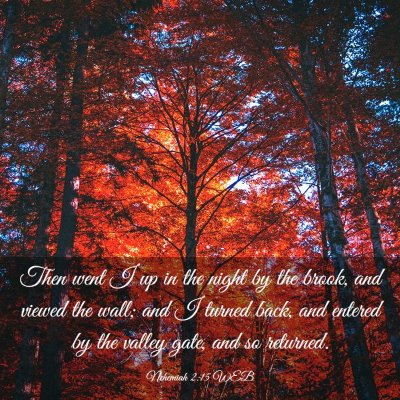 Picture 03 - Nehemiah 2:15 WEB - Then went I up in the night by the brook, and - Bible Verse Picture