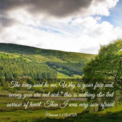 Picture 03 - Nehemiah 2:2 WEB - The king said to me, Why is your face sad, seeing - Bible Verse Picture