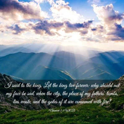 Picture 03 - Nehemiah 2:3 WEB - I said to the king, Let the king live forever: - Bible Verse Picture