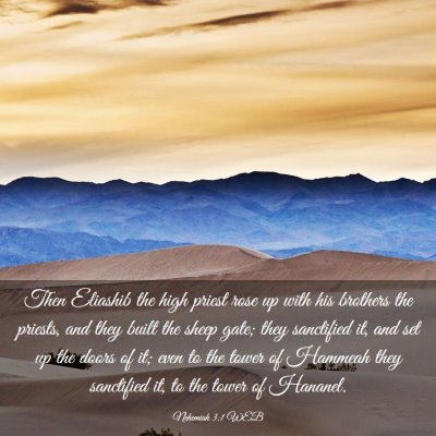 Picture 03 - Nehemiah 3:1 WEB - Then Eliashib the high priest rose up with his - Bible Verse Picture