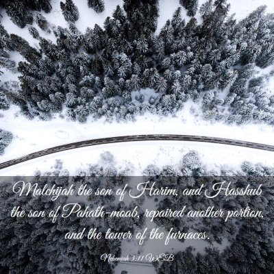 Picture 03 - Nehemiah 3:11 WEB - Malchijah the son of Harim, and Hasshub the son - Bible Verse Picture
